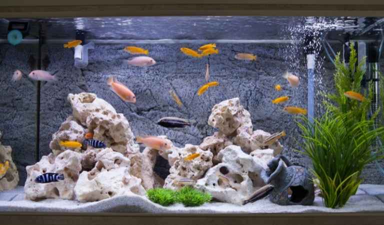 is acrylic paint aquarium safe