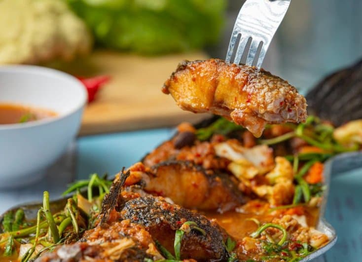 How To Fix Rubbery Acrylic Paint? CraftersMag