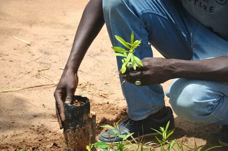 What Paint To Use When Restoring Blow Molds? CraftersMag