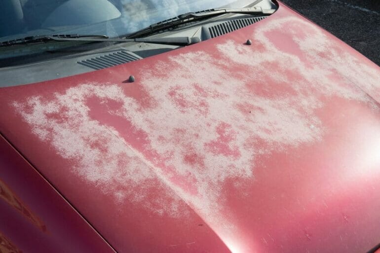 how to keep car paint from fading
