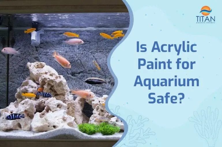 Is Acrylic Paint Aquarium Safe? CraftersMag
