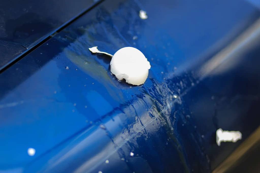 Will Wasp Spray Damage Car Paint? CraftersMag
